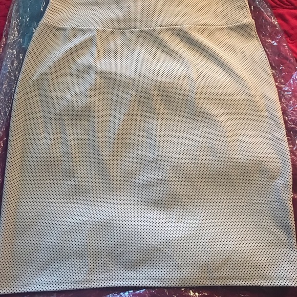 Skirt - Picture 2 of 4